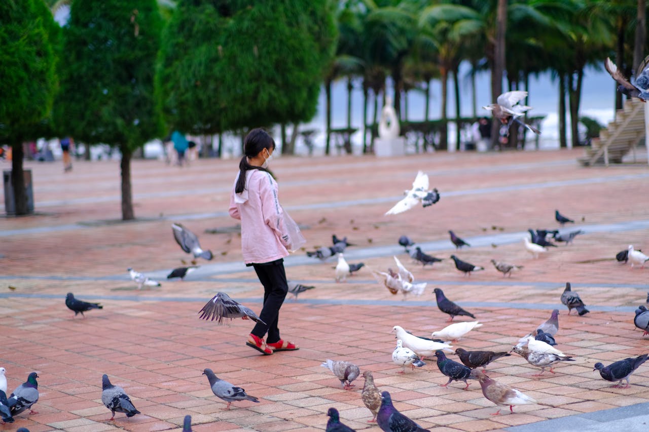 Đạo Phật đi vào cuộc đời | Chương 02
