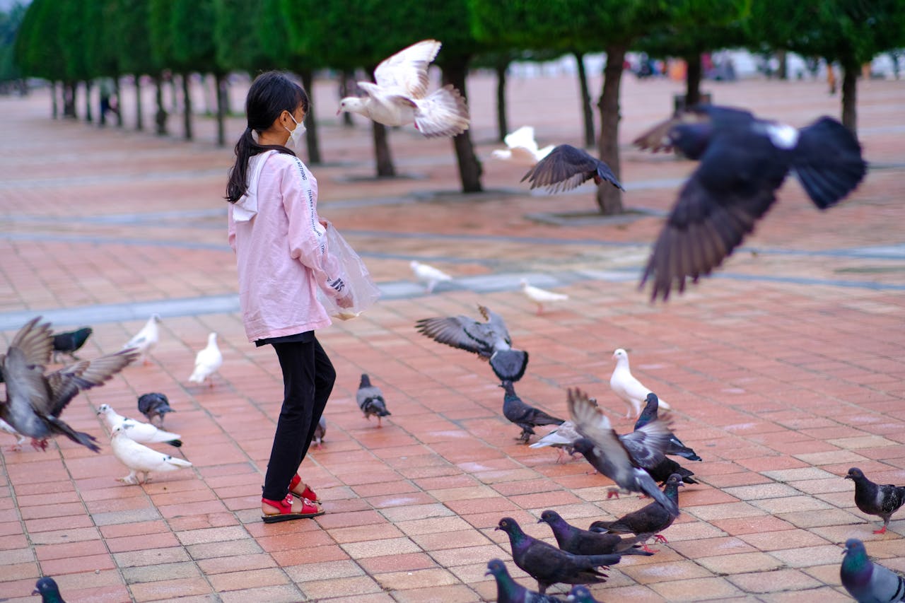 Quán cà phê Hư Vô với chủ đề cái chết