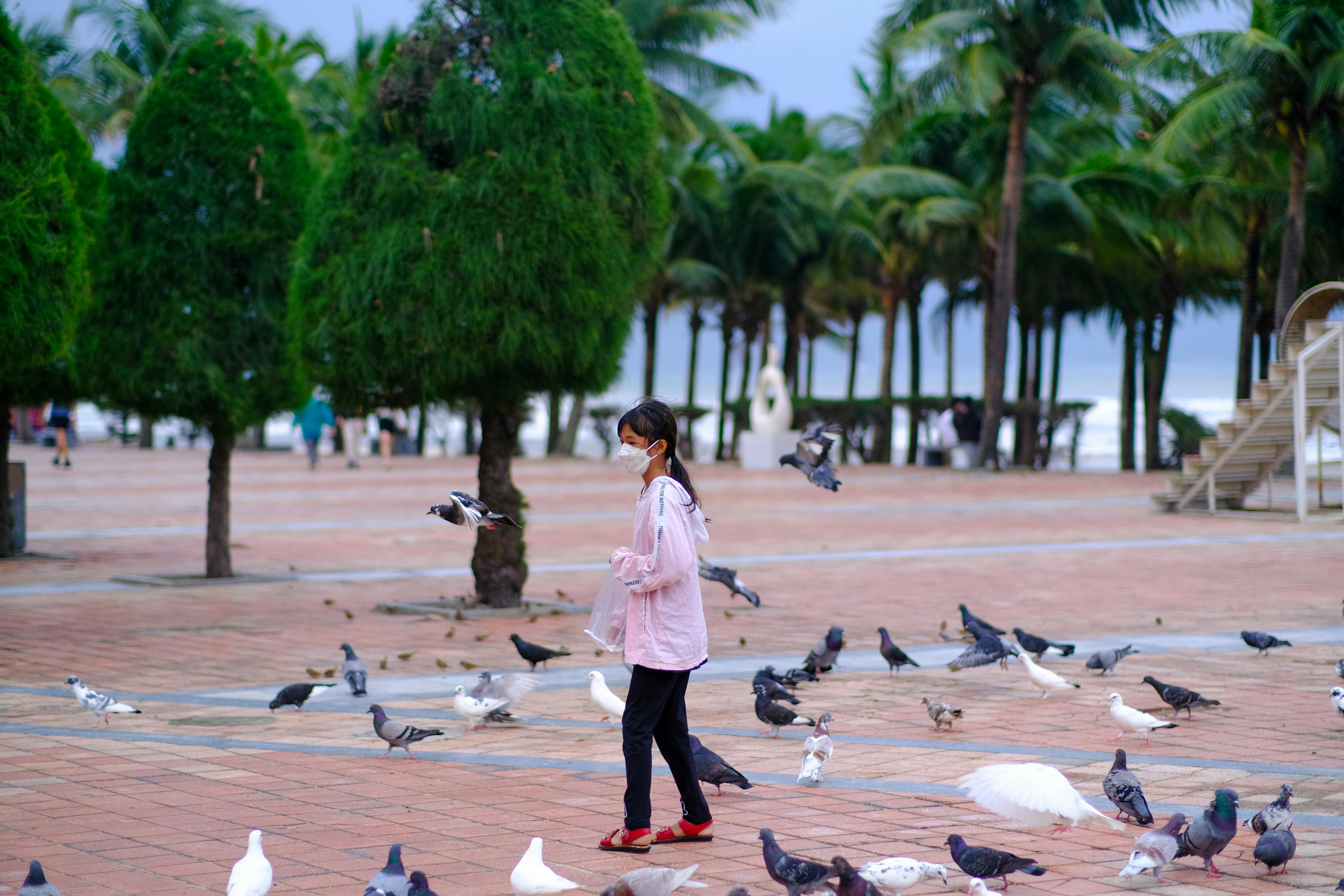 Trung tâm nghiên cứu văn học, phát triển nhà văn Việt Nam