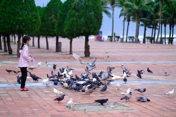 Trung tâm nghiên cứu văn học, phát triển nhà văn Việt Nam