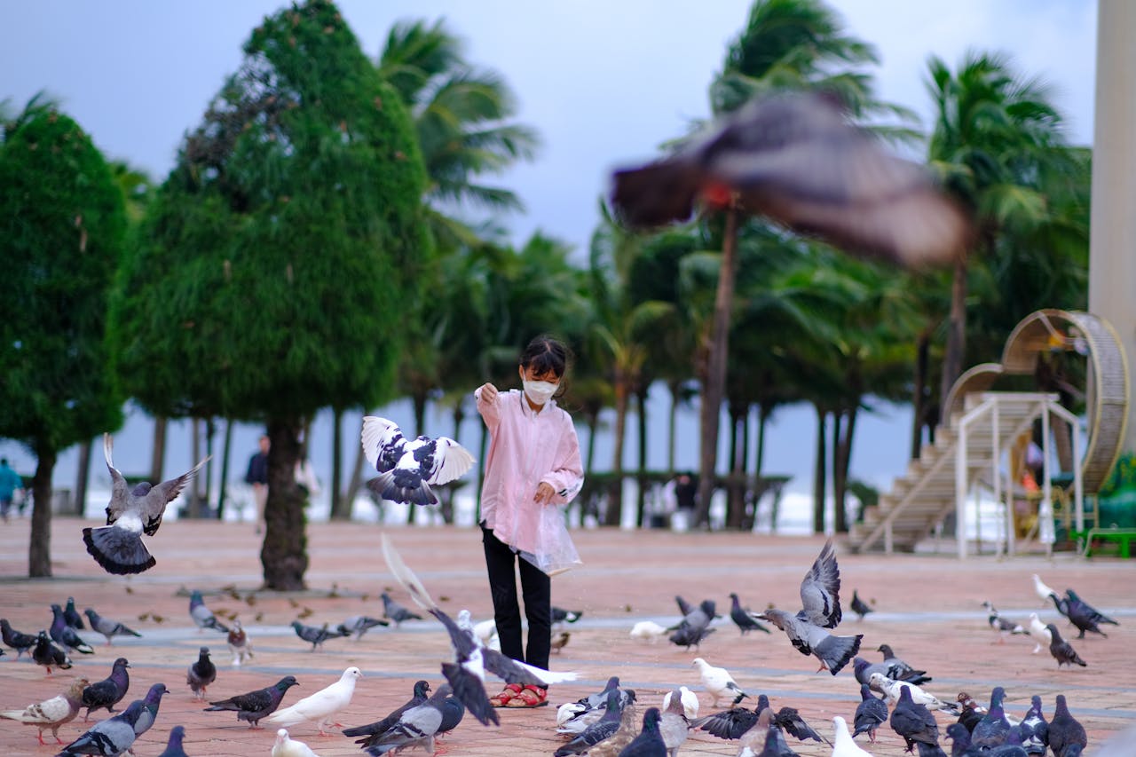 Tứ chánh cần (Sammappadhāna – 四正勤) là gì?