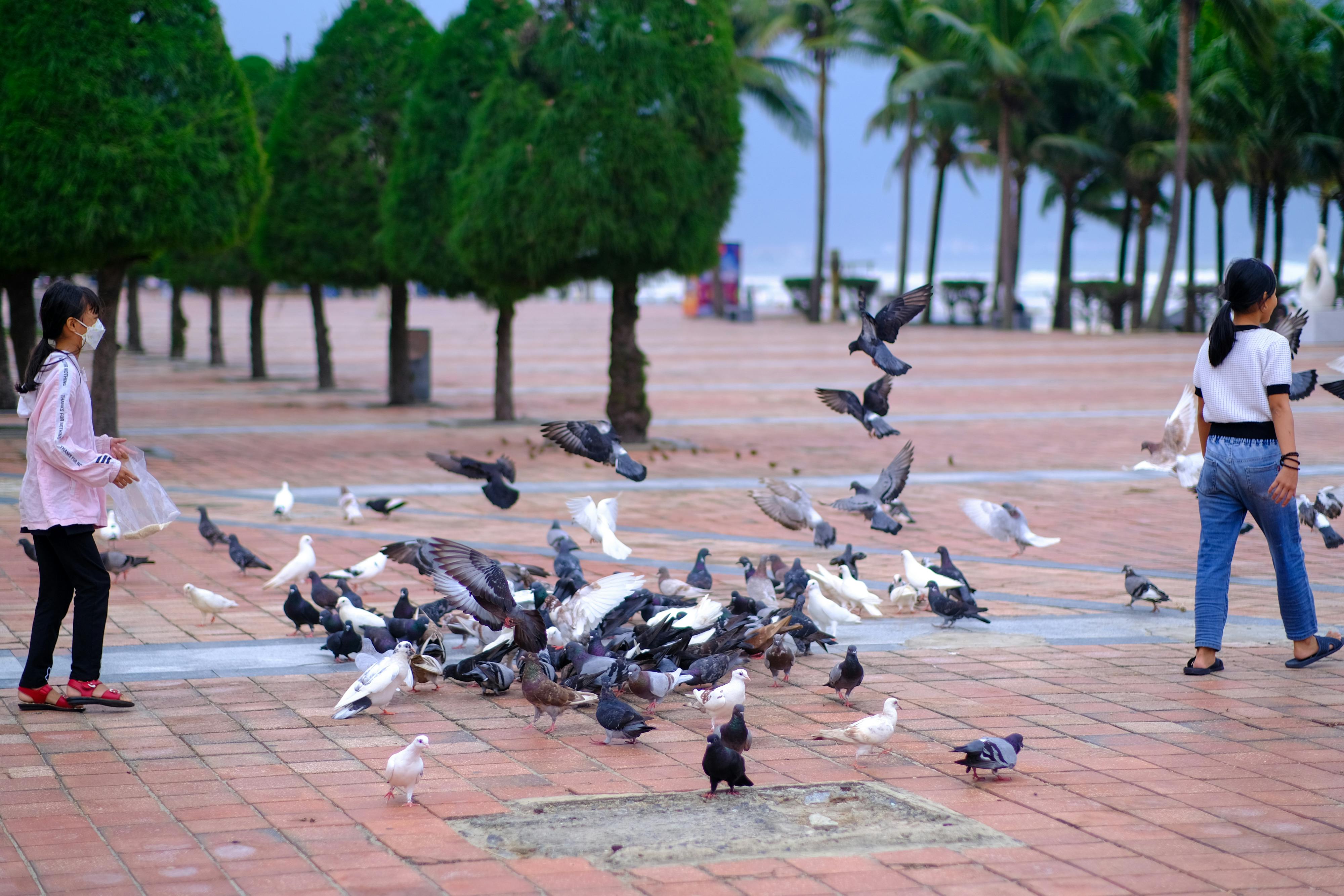 Truyện tình kể trong đêm mưa 647 – thu vien, van hoc, van hoc viet nam, tho ca, nguyen huy thiep, truyen ngan, truyen tinh ke trong dem mua.