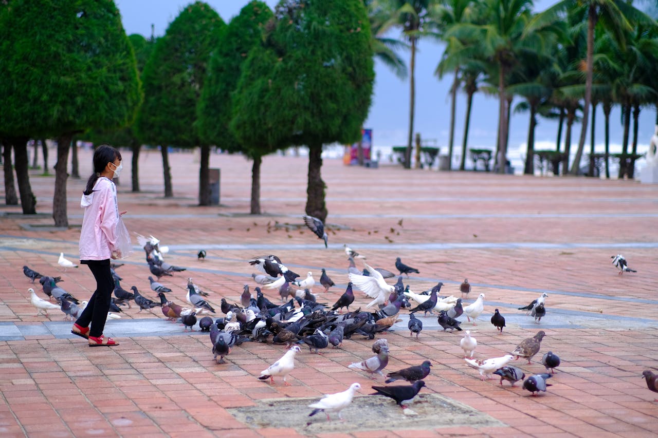 Thám tử lừng danh Conan | Chương 0165