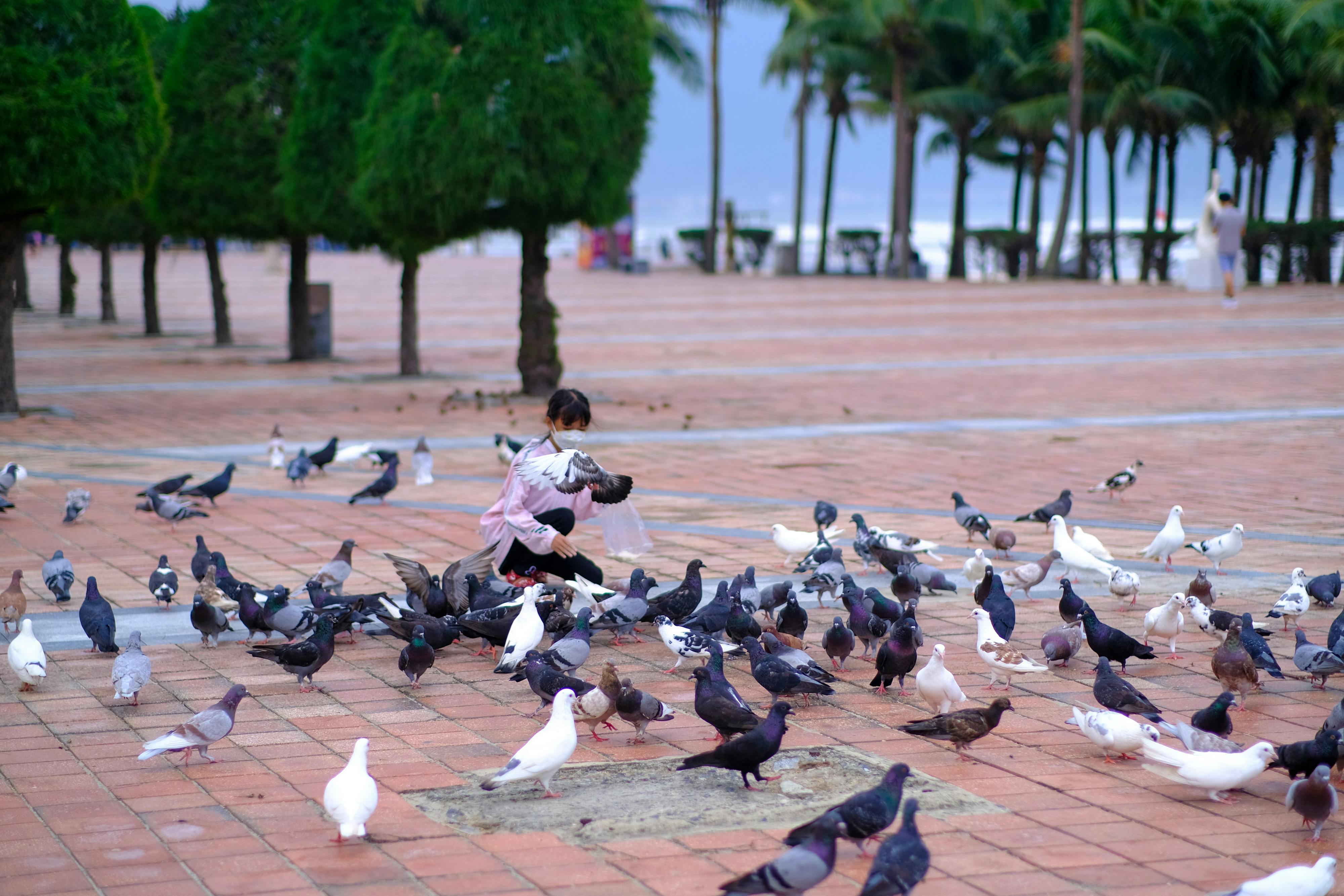 Trung tâm nghiên cứu văn học, phát triển nhà văn Việt Nam