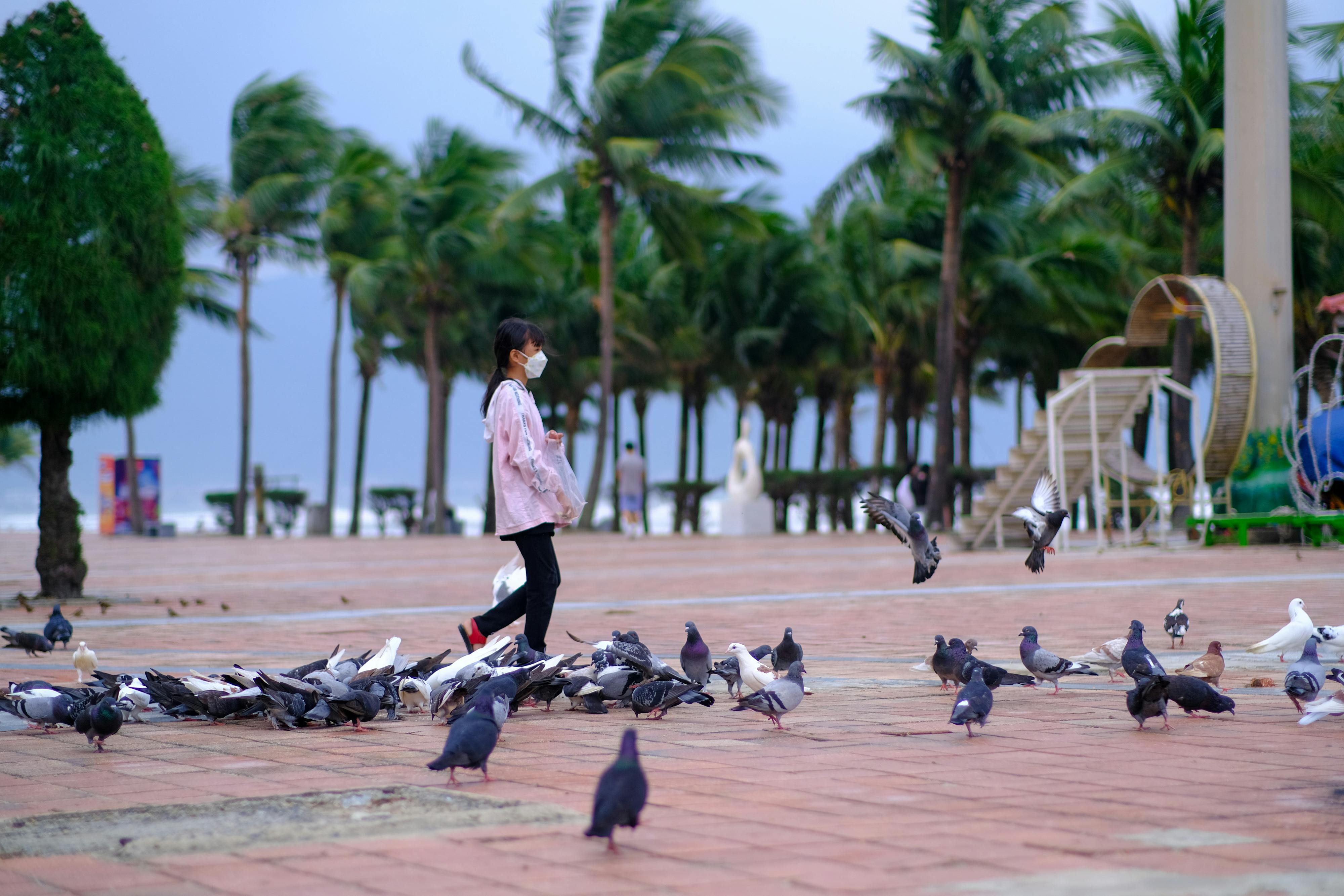 Trung tâm nghiên cứu văn học, phát triển nhà văn Việt Nam