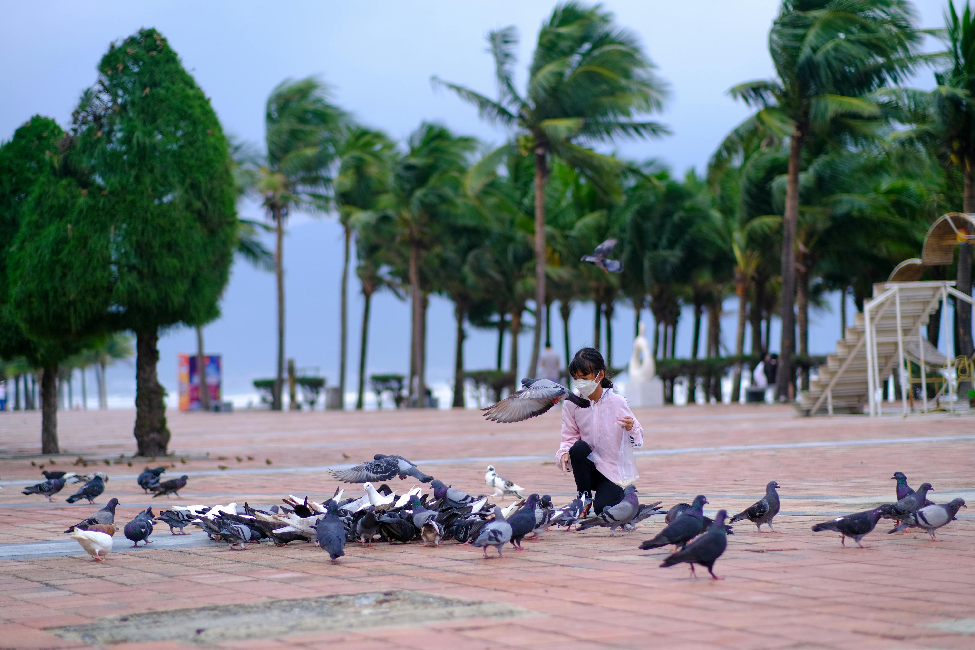 Trung tâm nghiên cứu văn học, phát triển nhà văn Việt Nam