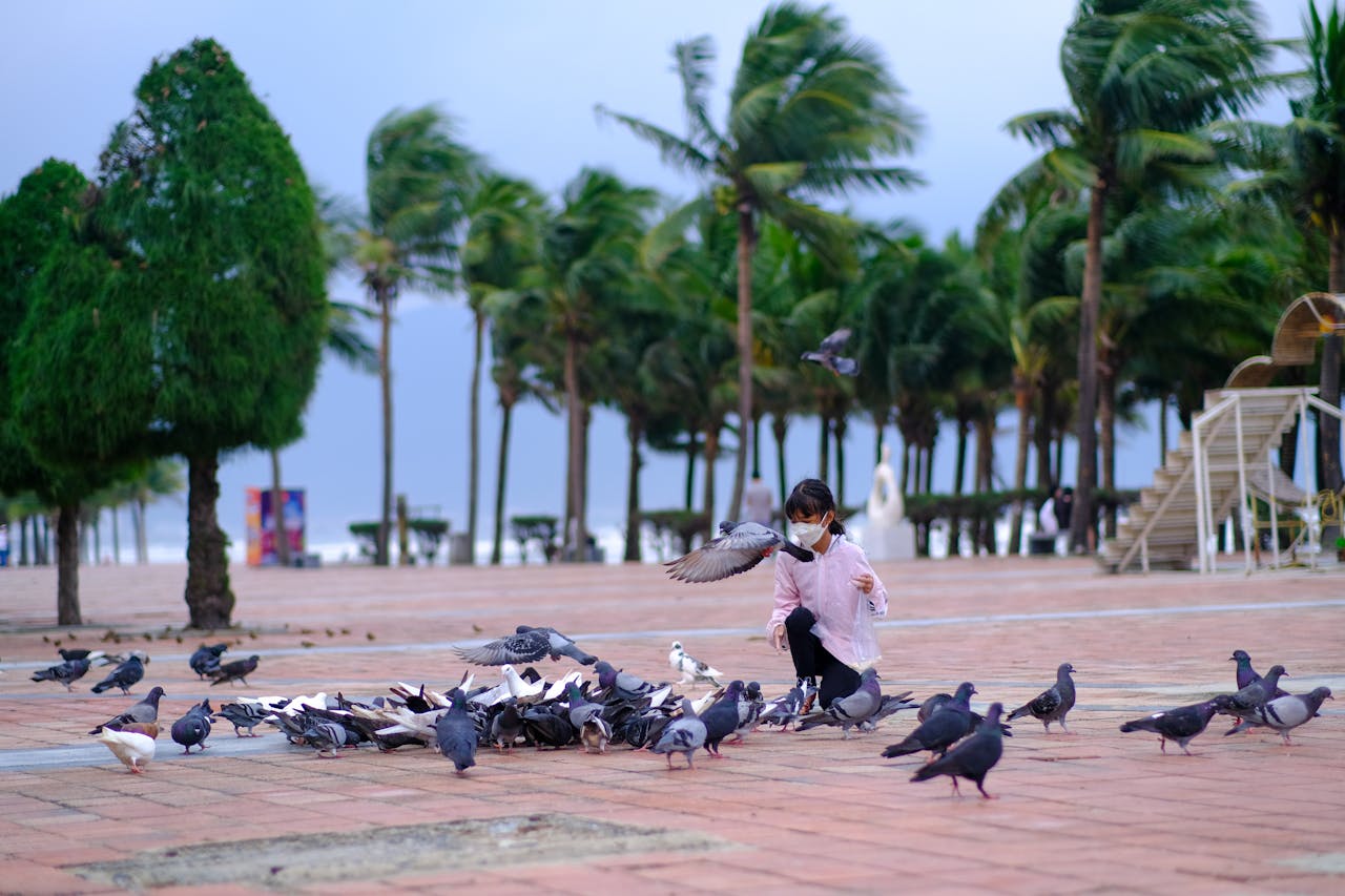 Gió Lào cát trắng