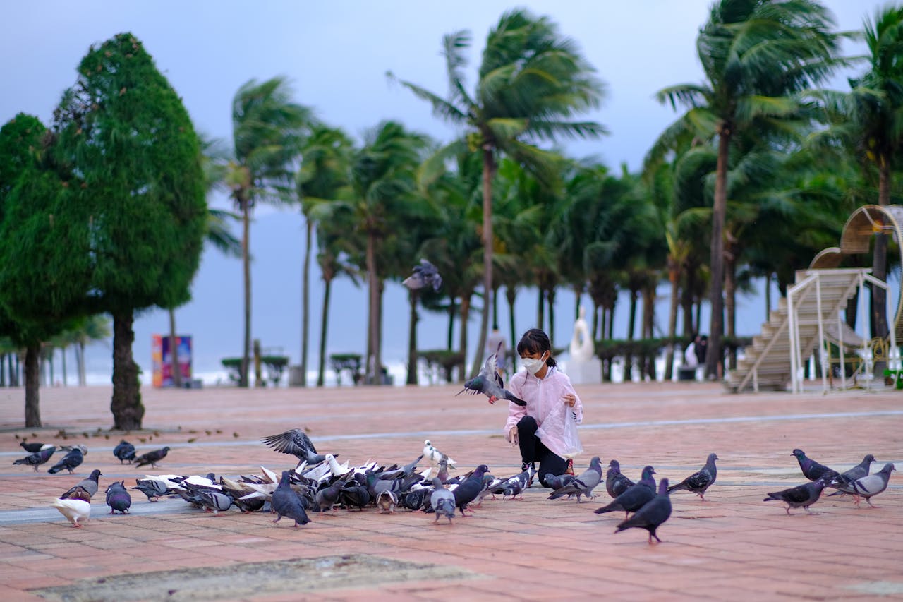 Tiến hóa để thấy thực tại như nó tồn tại