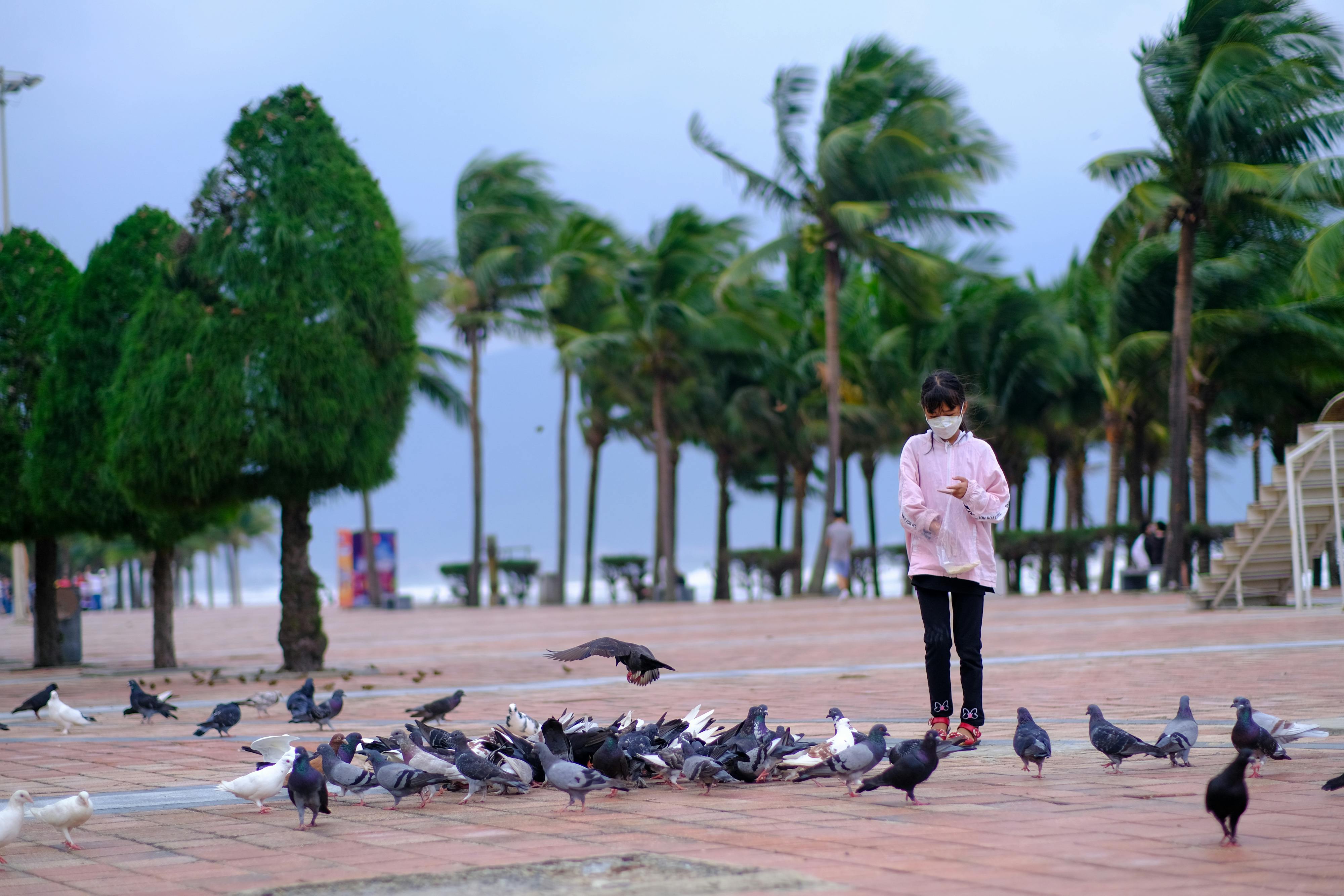 Chữ người tử tù Chữ người tử tù 491 – thu vien, van hoc, van hoc viet nam, ngu van lop 11, nguyen tuan, chu nguoi tu tu, van hoc hien dai, van cap 3, van lop 11.