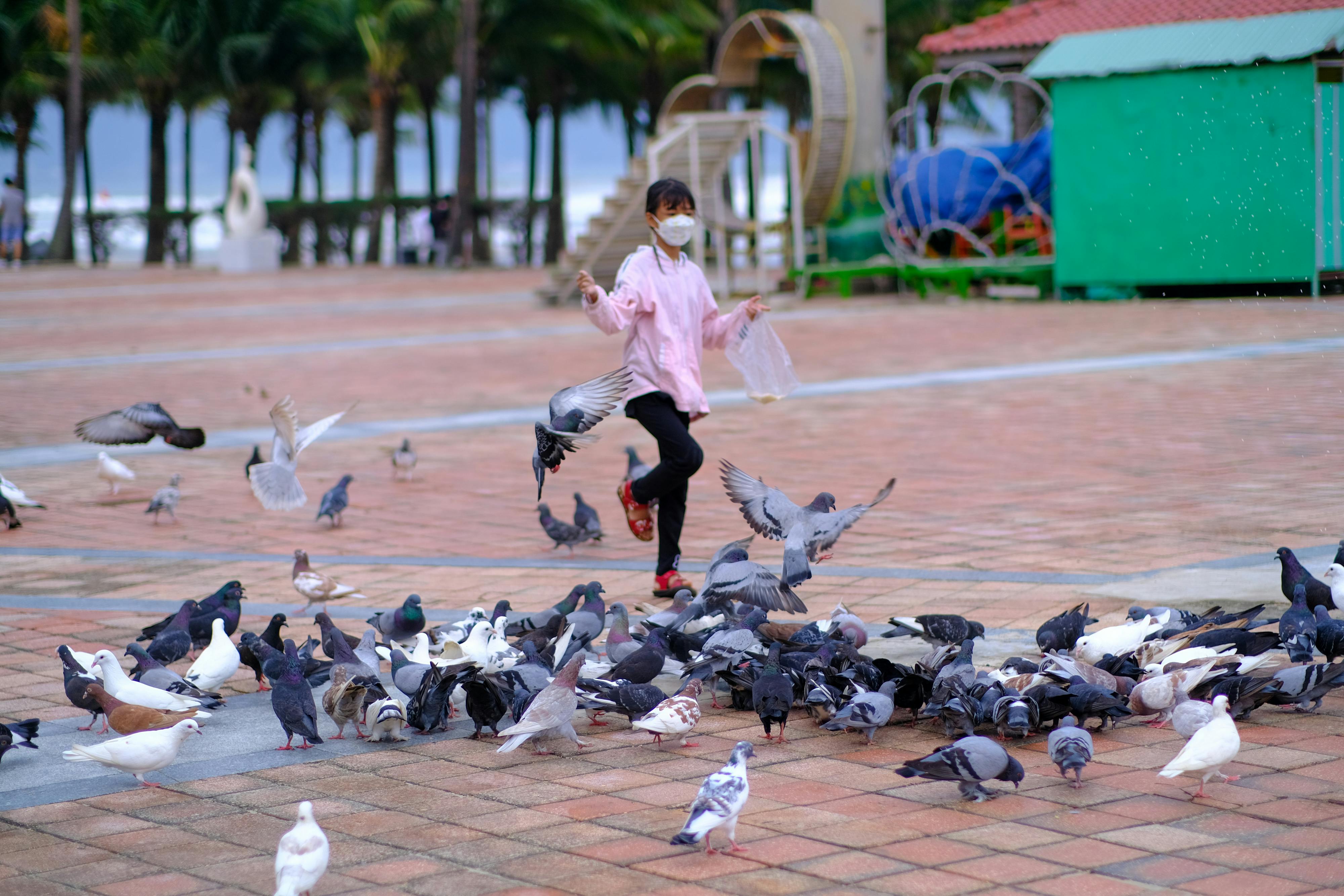 Trung tâm nghiên cứu văn học, phát triển nhà văn Việt Nam