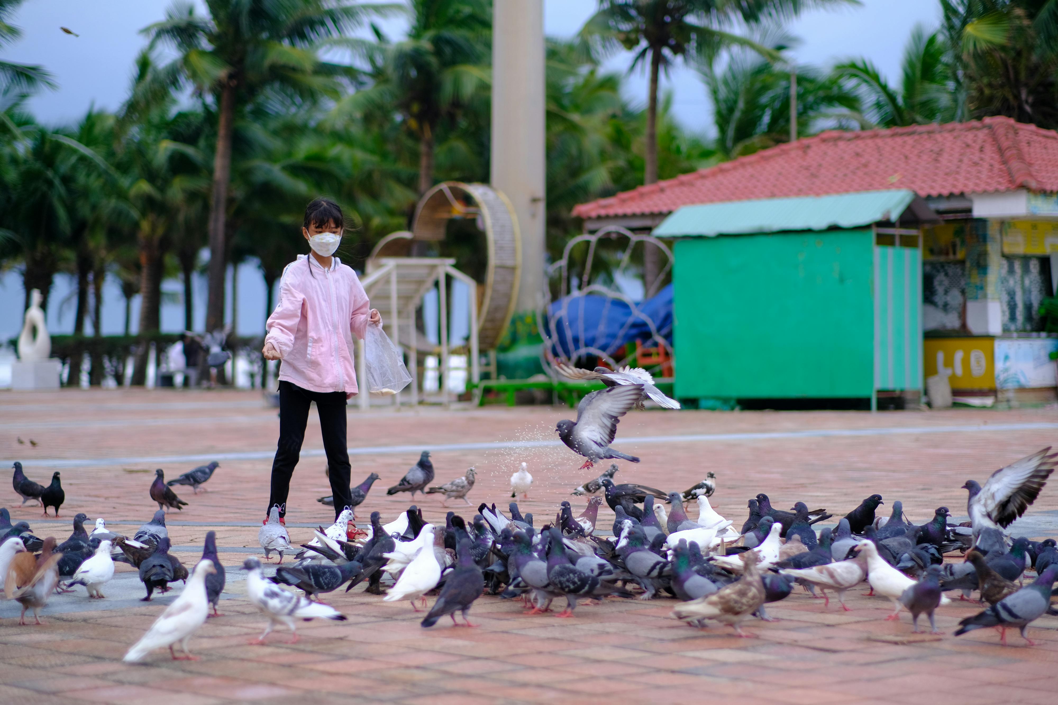 Trung tâm nghiên cứu văn học, phát triển nhà văn Việt Nam