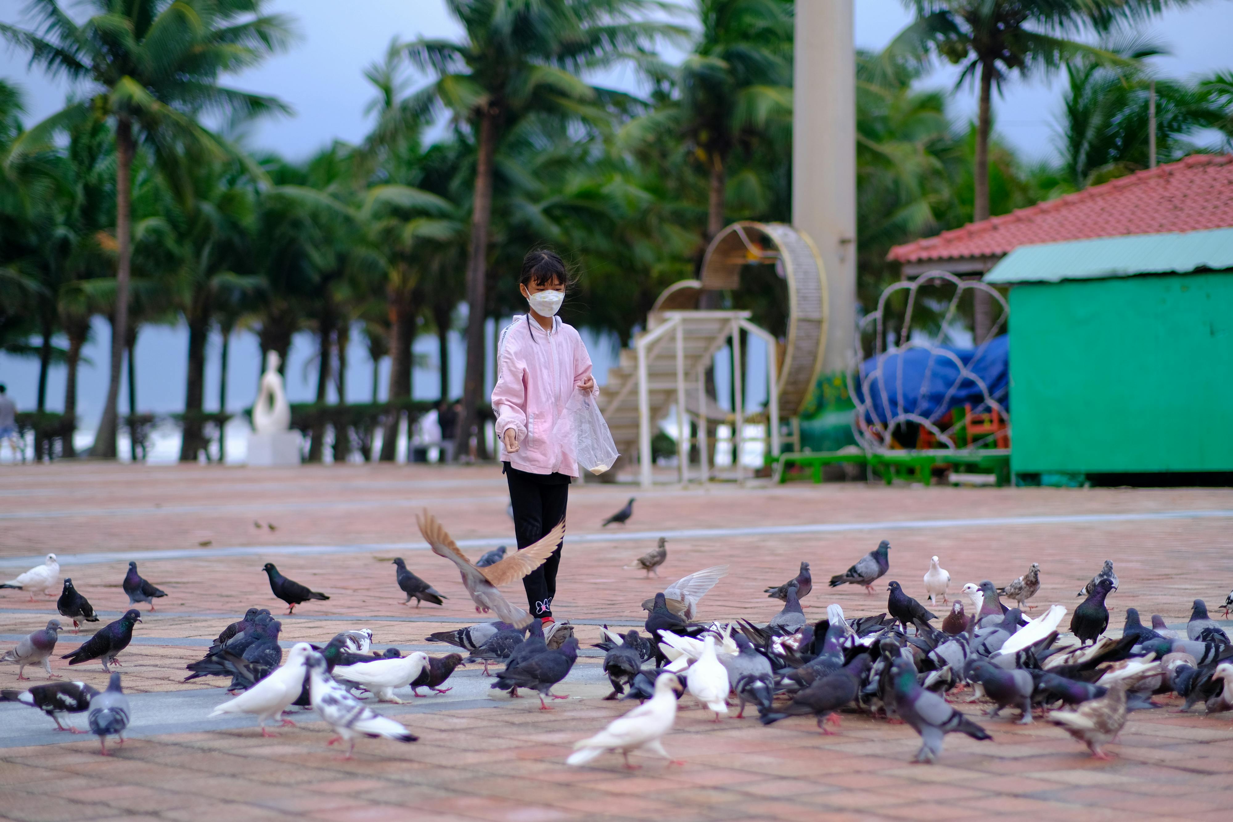 Chọn phần mềm quản lý khách sạn tốt nhất 703 – viet thue, marketing, khach san, b2b, kenh ota, free booking links, channel manager, property management system, khach san phan mem tot nhat.