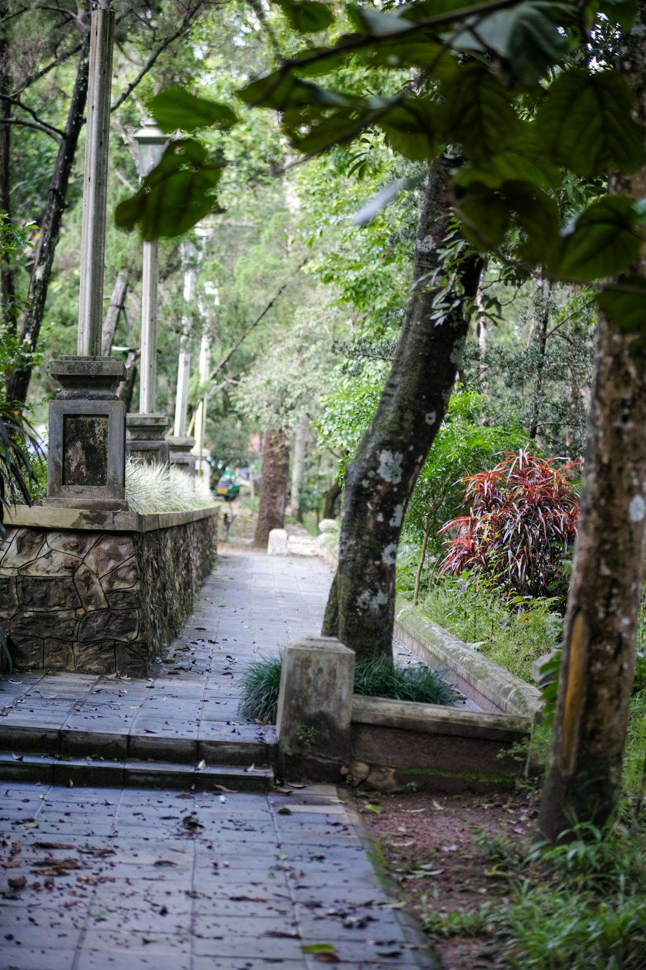 Làm thế nào để triết học cân bằng với ý chí tự do?