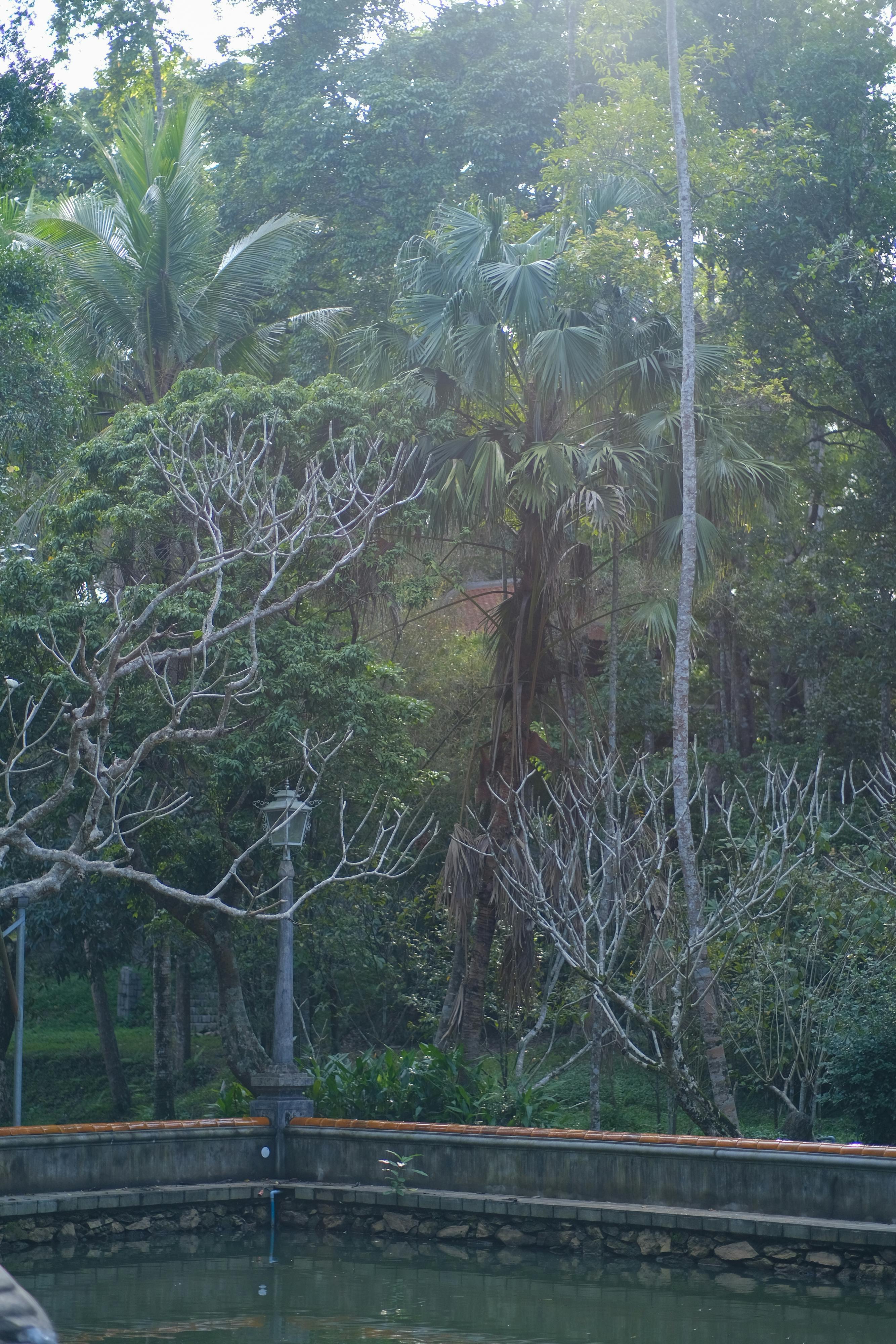 Thám tử lừng danh Conan | Chương 0305 698 – manga, gosho aoyama, case closed, tham tu lung danh conan, conan, detective conan, truyen tranh, trinh tham, pha an, trinh tham, kinh di, truyen conan, doc truyen conan, tham tu lung danh conan chuong 0305, tham tu lung danh conan 0305.