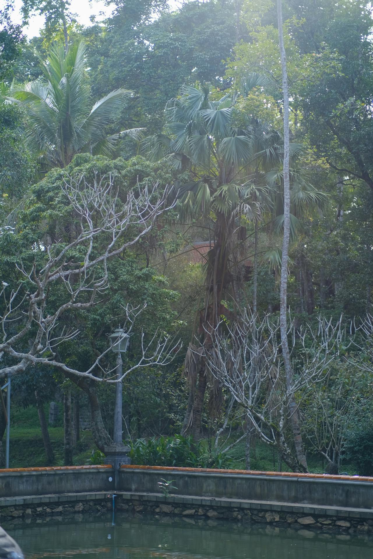 Thám tử lừng danh Conan | Chương 0523