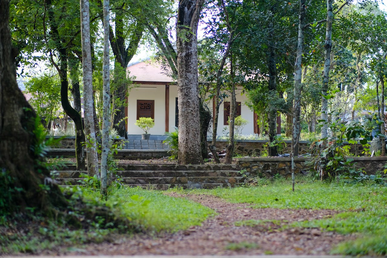 Đạo Phật của tuổi trẻ | Lời nói đầu