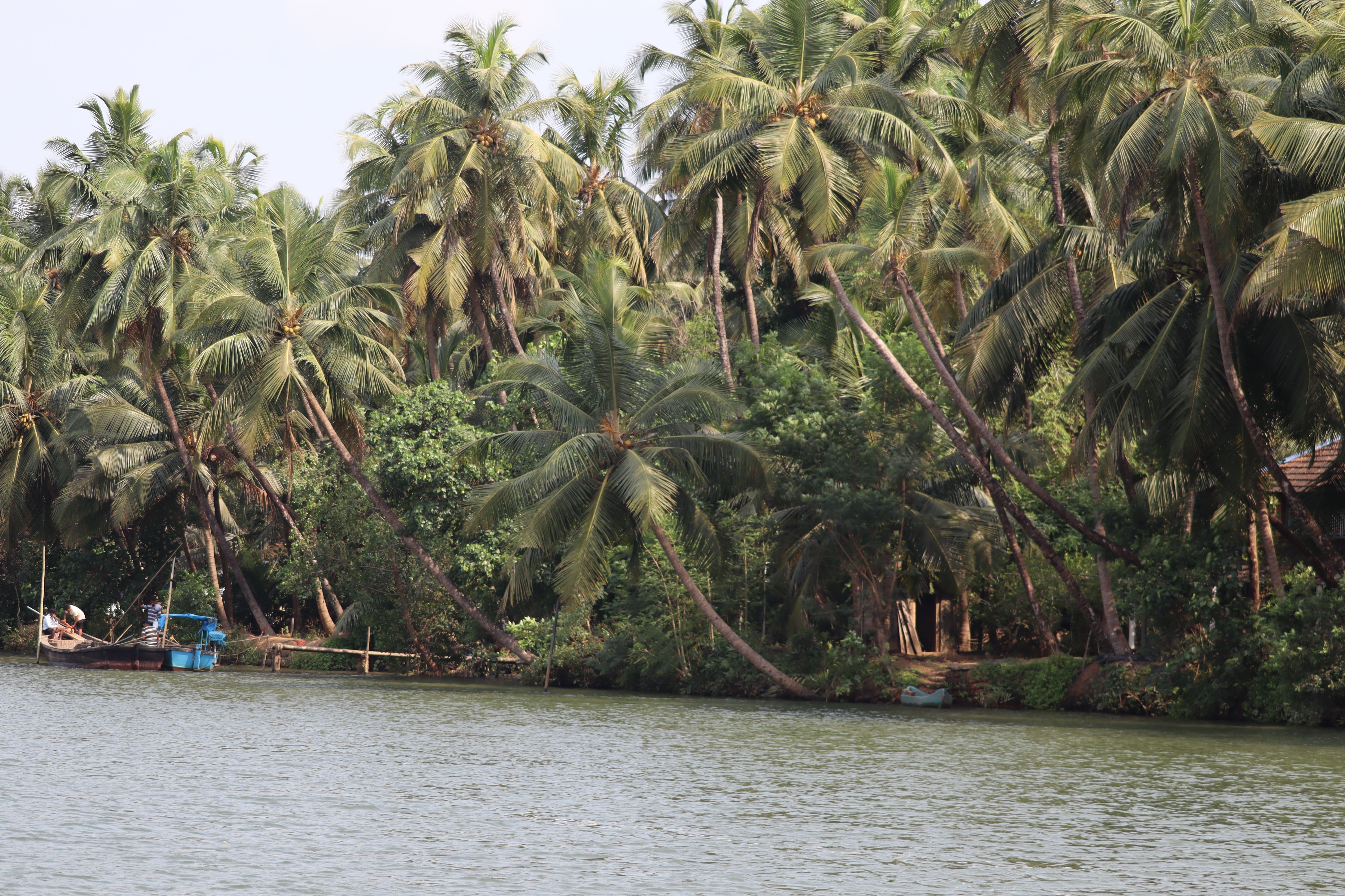 Where to Eat in Sirsi: Local Food Guide