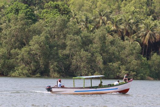 A boat glides through a river in Honnavar, Karnataka, surrounded by lush greenery.