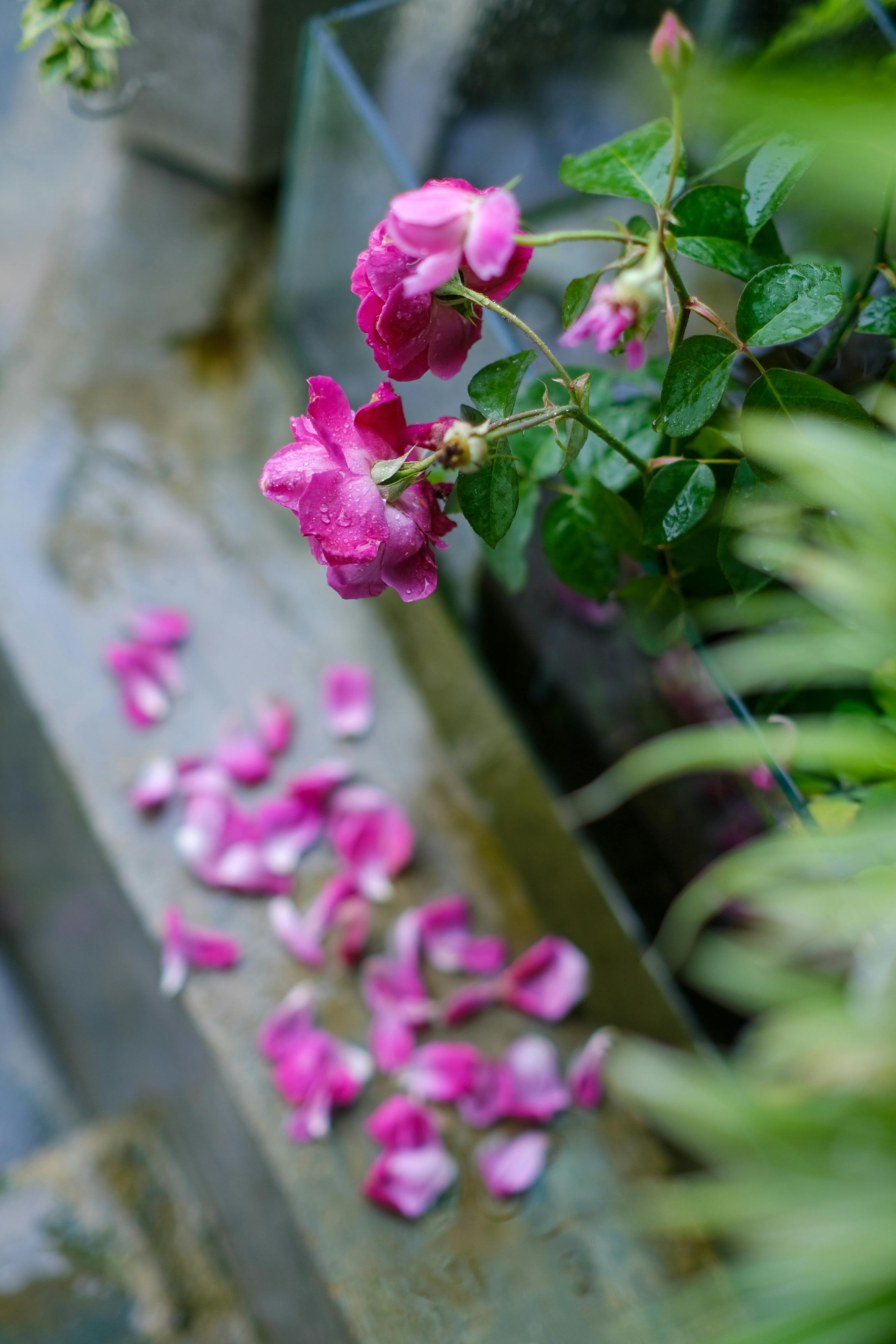 Danh sách theo thẻ nobel