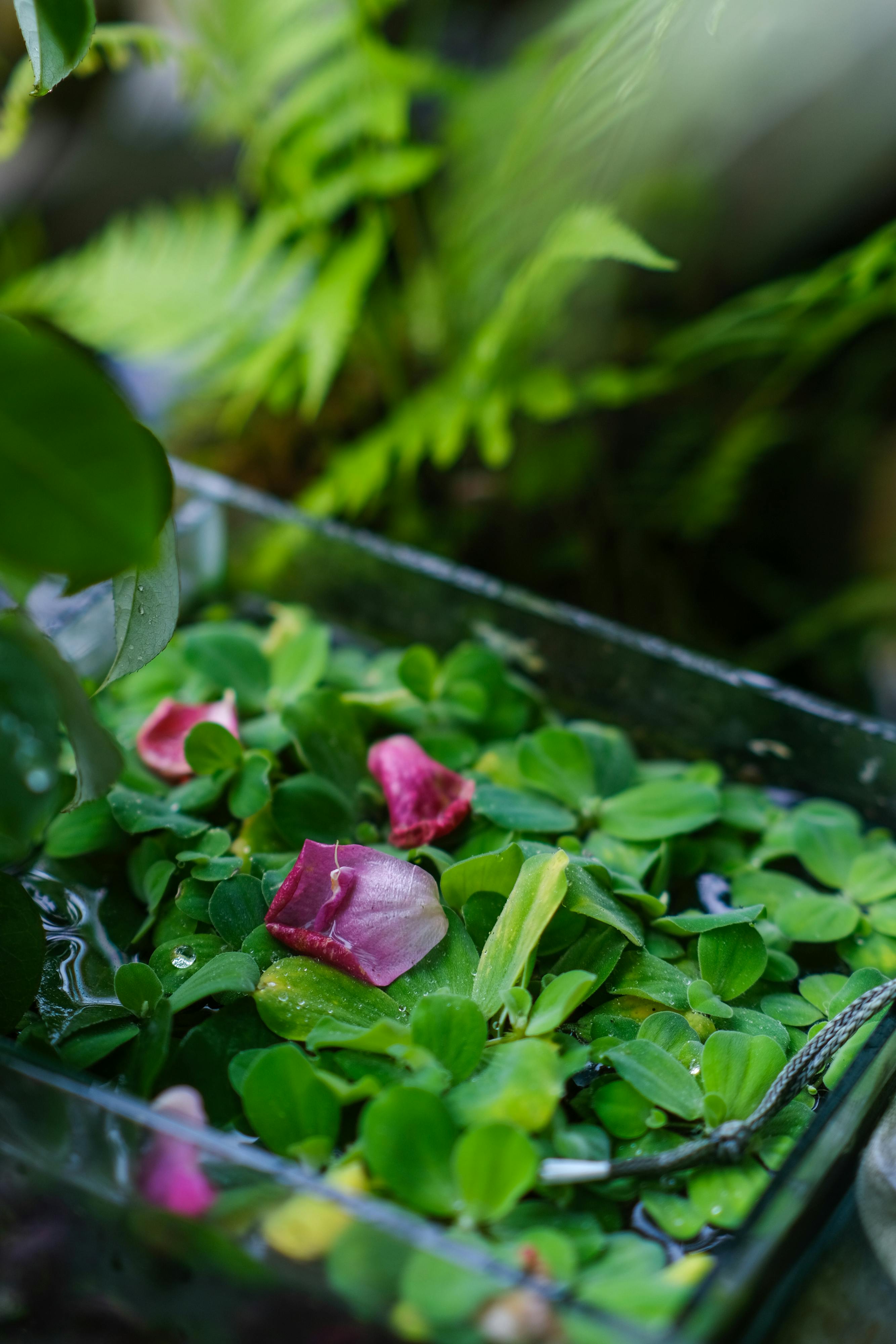 Trung tâm nghiên cứu văn học, phát triển nhà văn Việt Nam