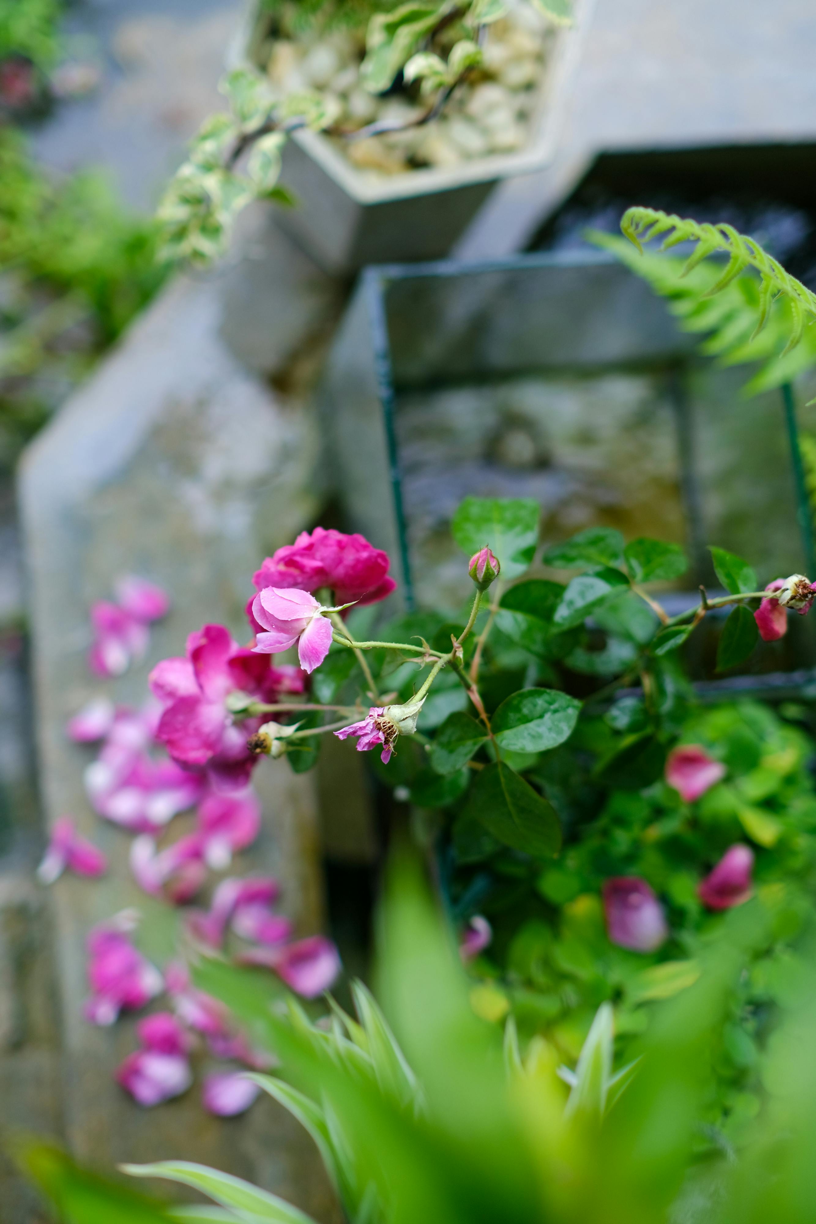 Danh sách theo thẻ tu-tuong-do-thai, trang 2