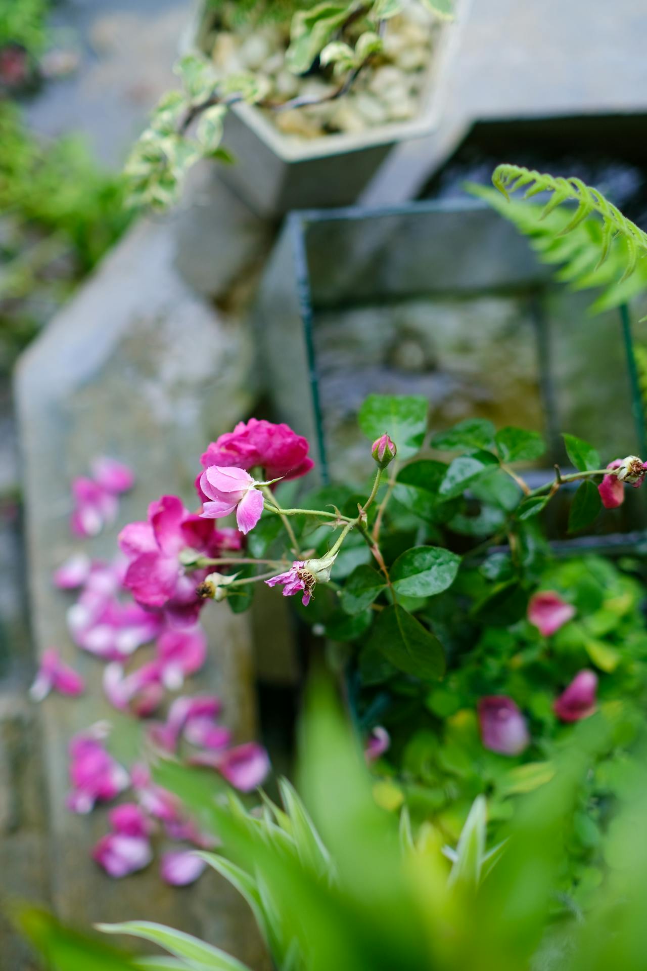 Thám tử lừng danh Conan | Chương 0475