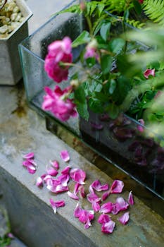 Stunning pink rose petals scattered after rain in a Vietnamese garden, capturing the essence of floral beauty.