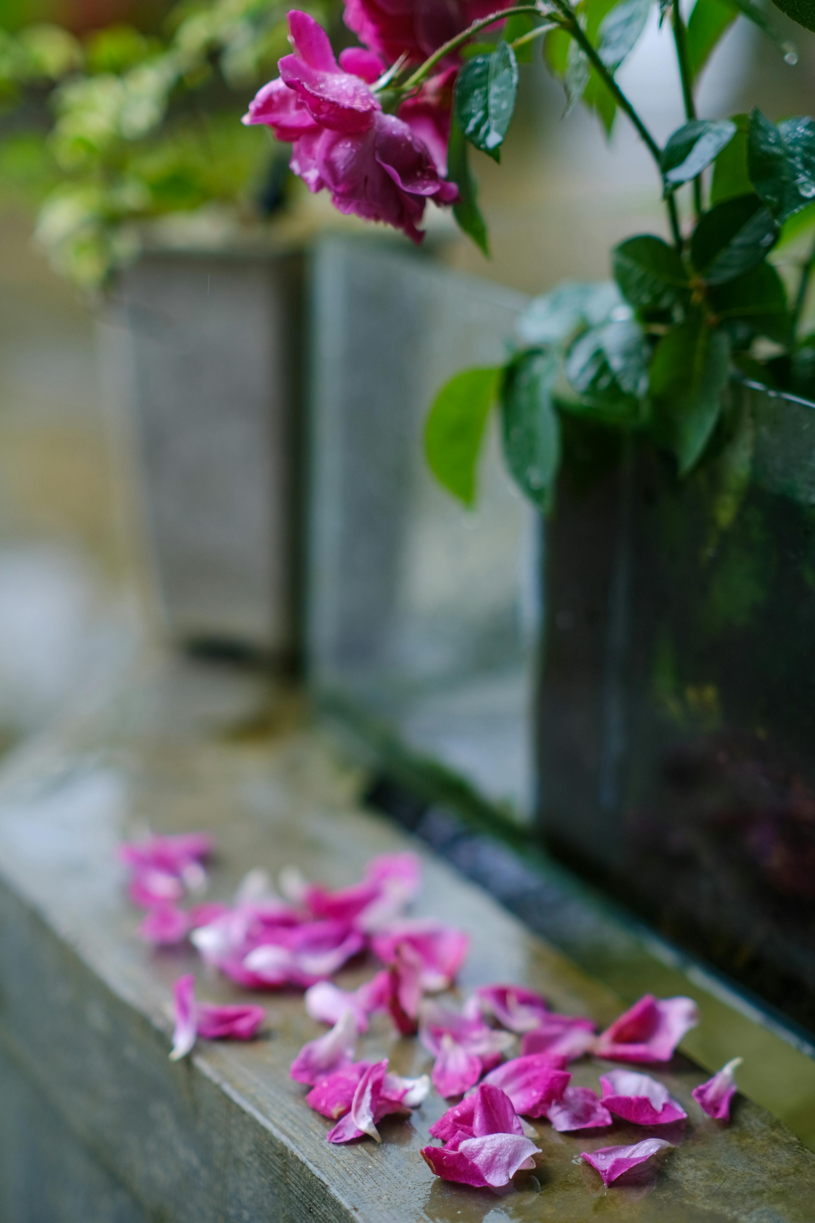 Chim lửa | Chương 03 063 – manga, tezuka osamu, hi no tori, chim lua, phoenix, bird of fire, chim lua chuong 03, chim lua 03.