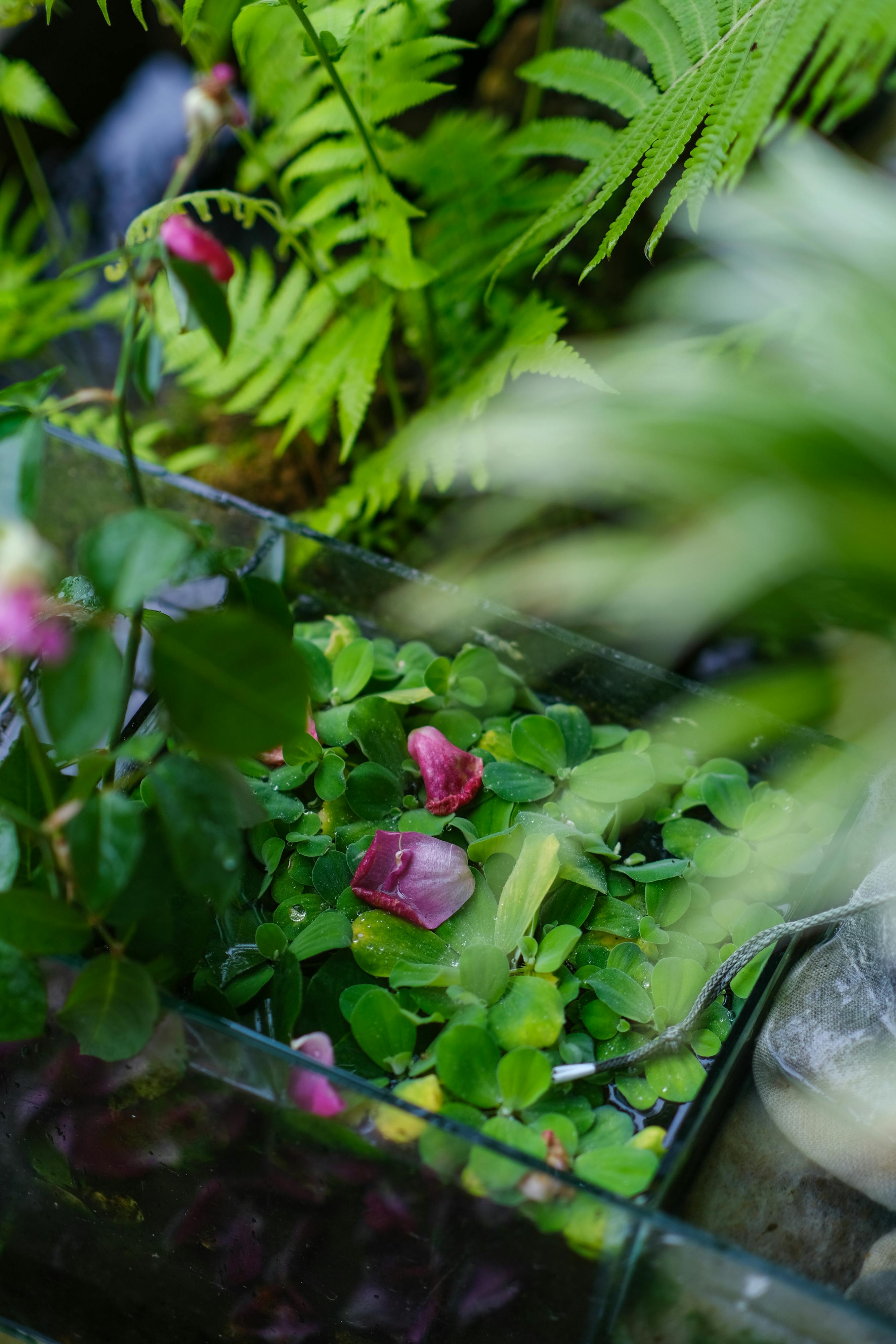 Thám tử lừng danh Conan | Chương 1020