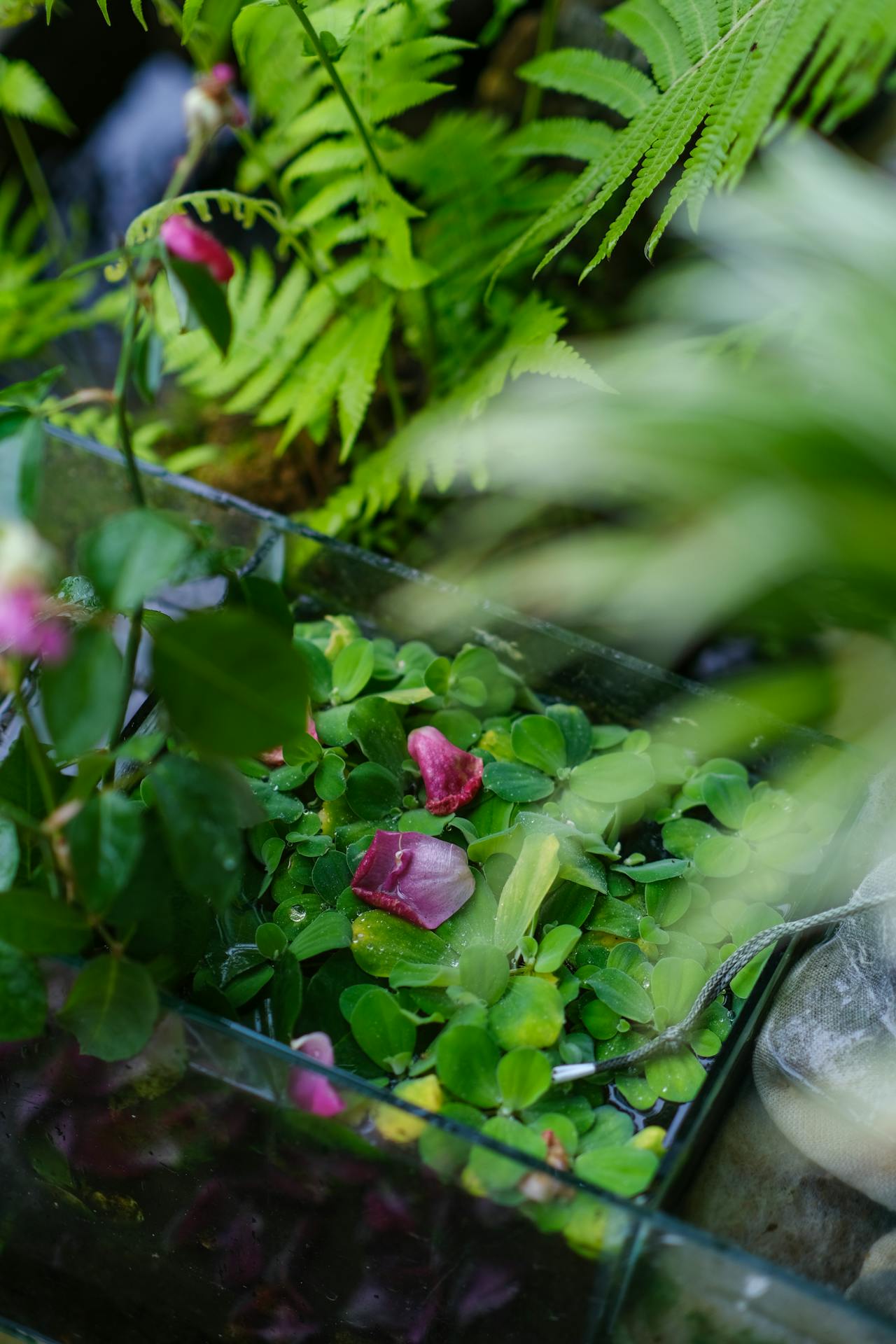 Thám tử lừng danh Conan | Chương 1020