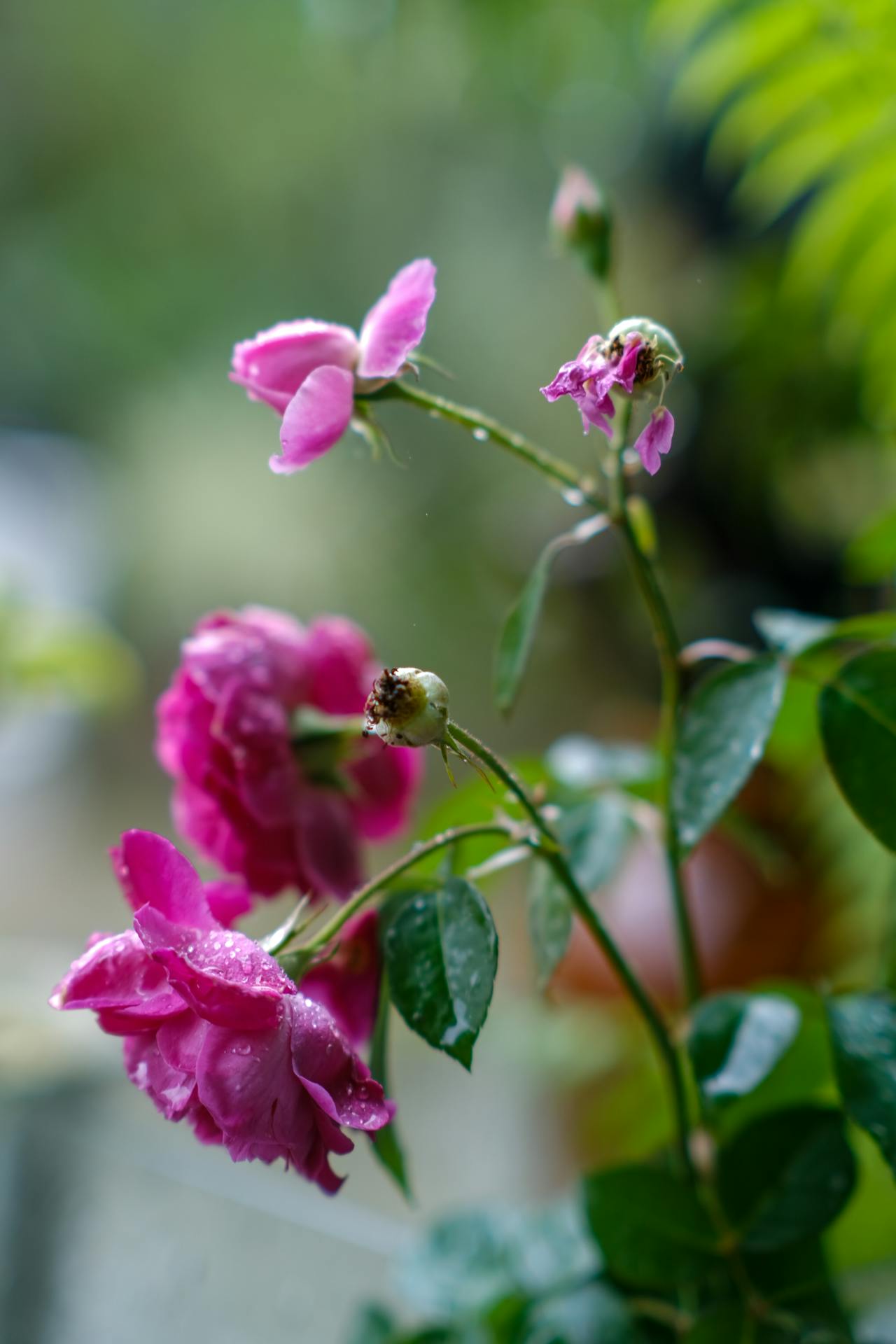 Thám tử lừng danh Conan | Chương 0260