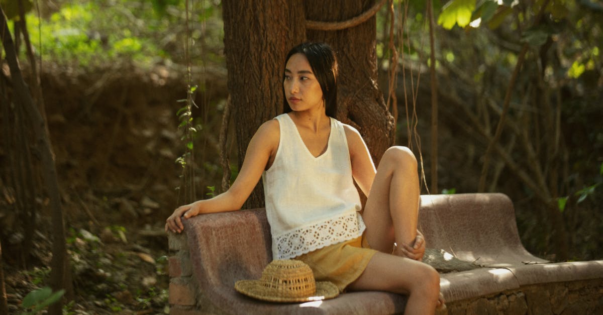 政治:鄭麗文的DNA!探索她如何影響台灣文化與社會變革