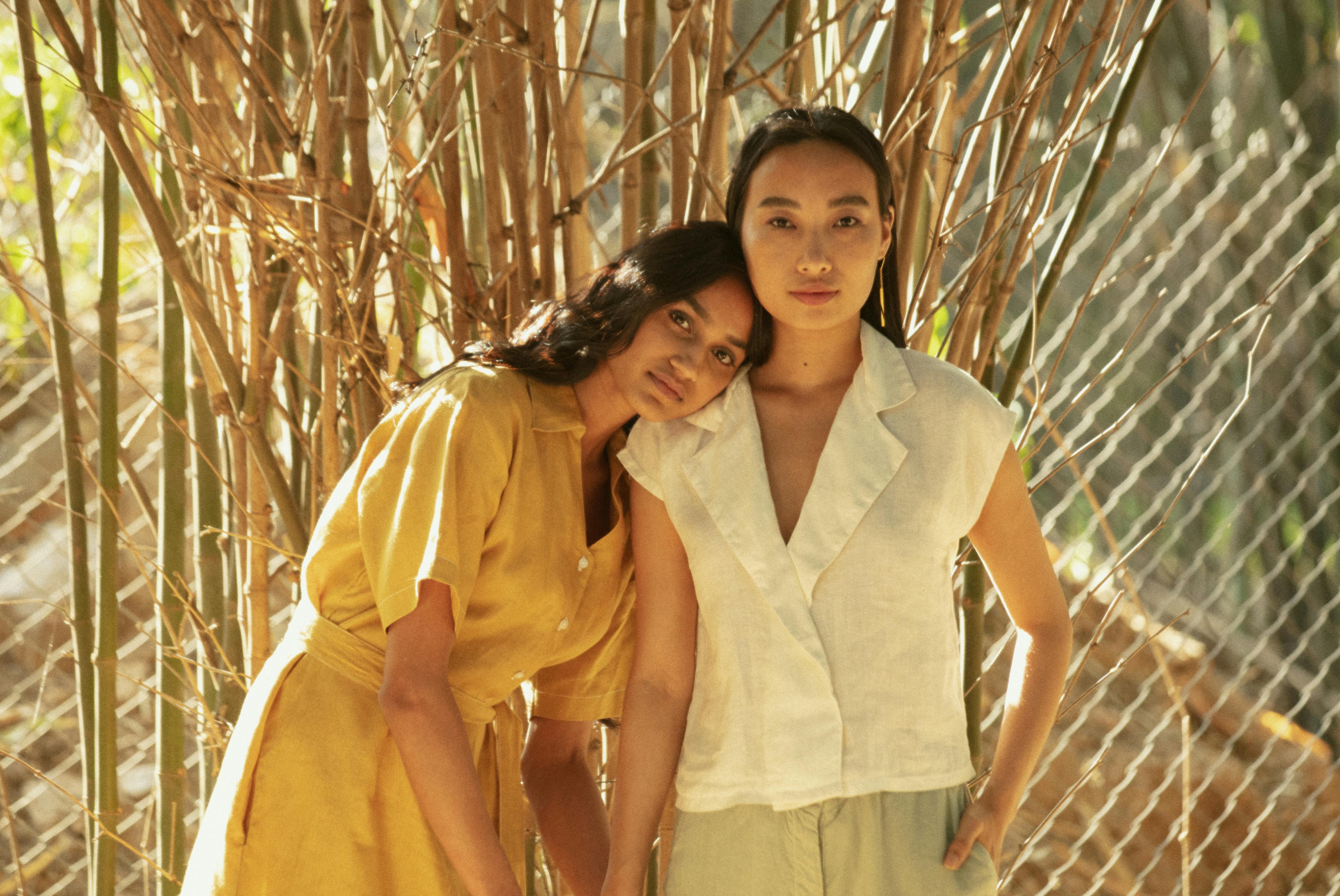 政治：鄭麗文的DNA！探索她如何影響台灣文化與社會變革