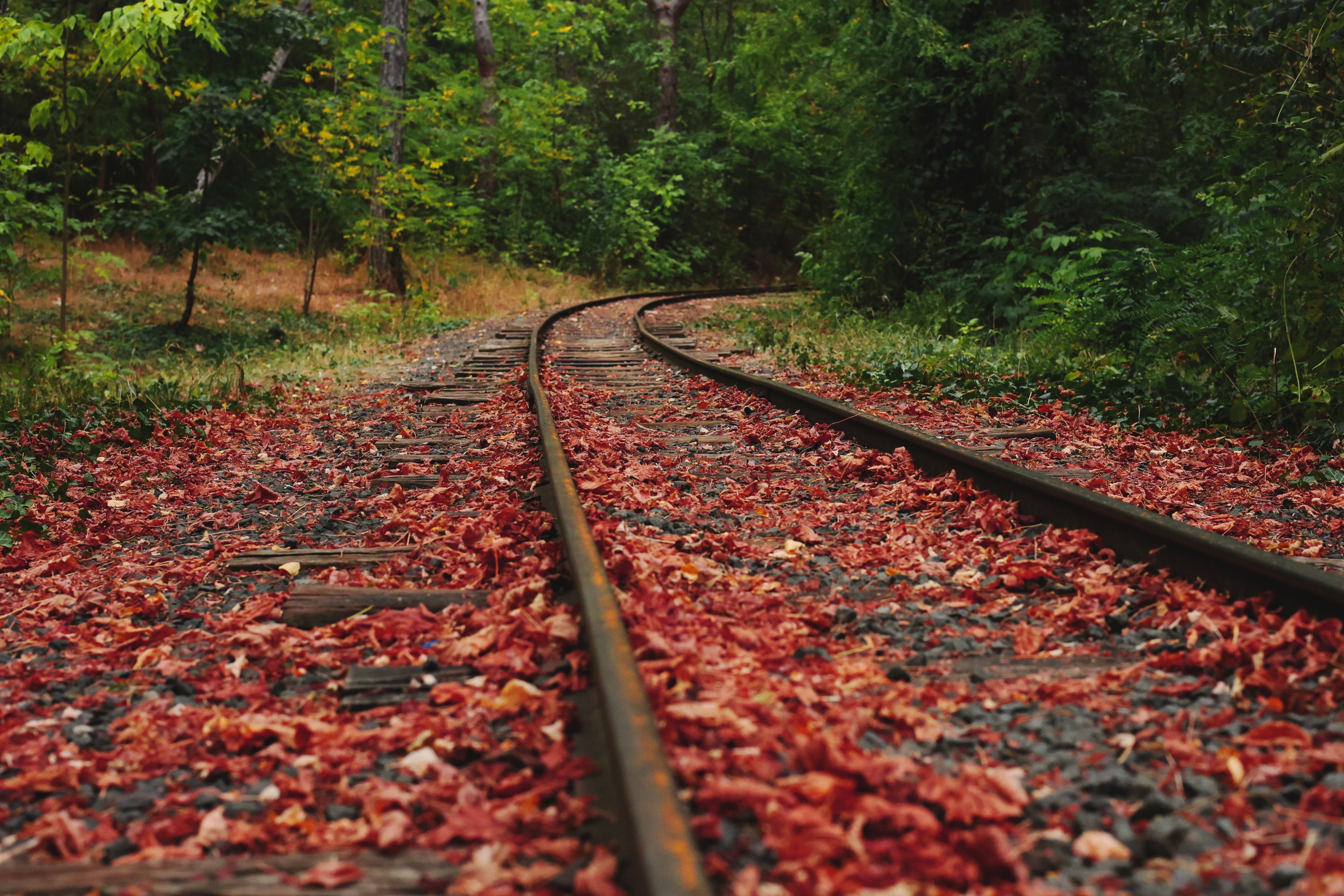 Autumn Railroad Scene in Bulgarian Forest · Free Stock Photo