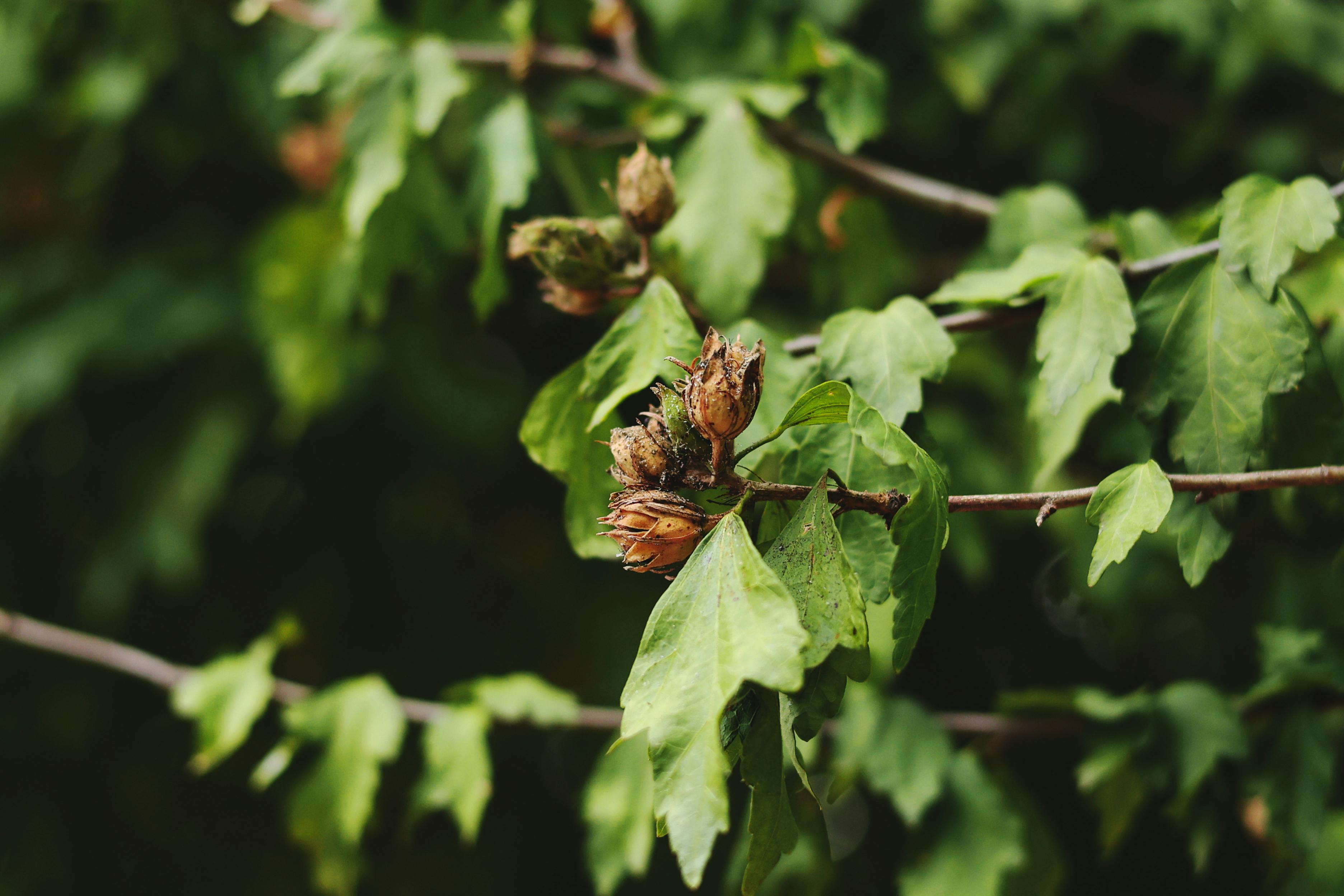 農業局推秋季綠生活巡禮 探訪台中後花園美景