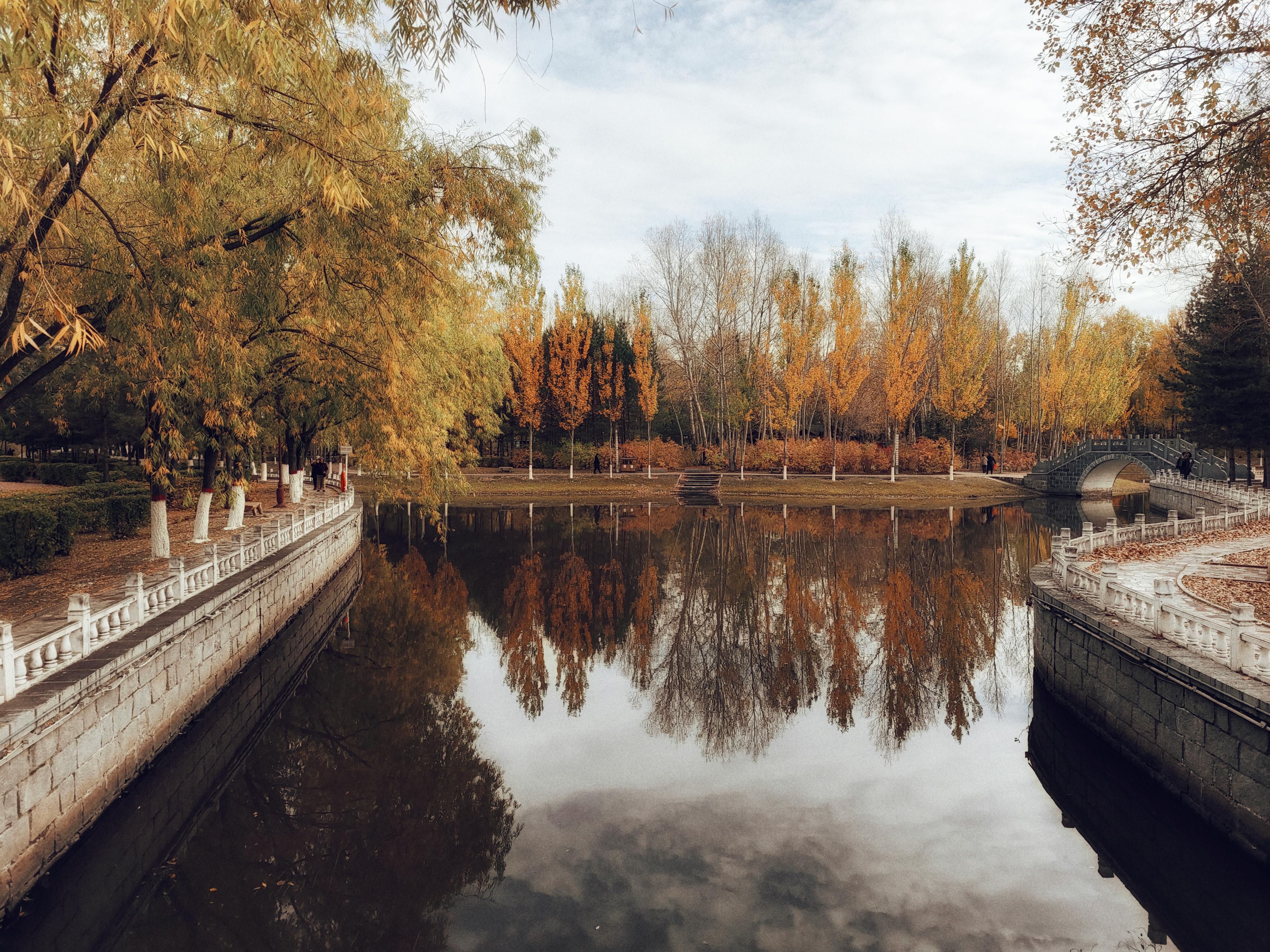 在秋天的公园里，树叶呈现出充满活力的色彩，与宁静的反射池塘形成了鲜明的对比