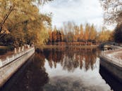 在秋天的公园里，树叶呈现出充满活力的色彩，与宁静的反射池塘形成了鲜明的对比