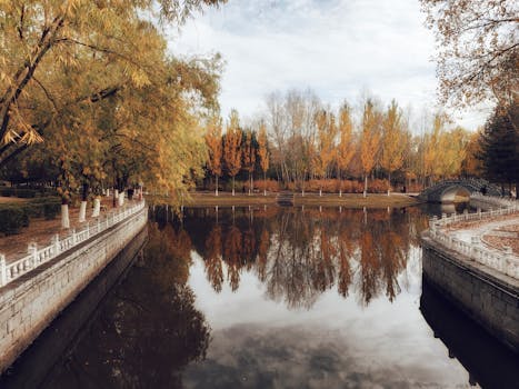 在秋天的公园里，树叶呈现出充满活力的色彩，与宁静的反射池塘形成了鲜明的对比