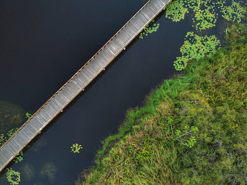 Коричневый деревянный мост через реку