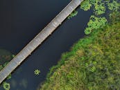 巴西萨尔瓦多有一座木桥，横跨宁静的水域，四周环绕着郁郁葱葱的绿植