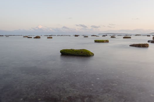 澳大利亚新南威尔士州的沿海景观，岩石覆盖，宁静而美丽