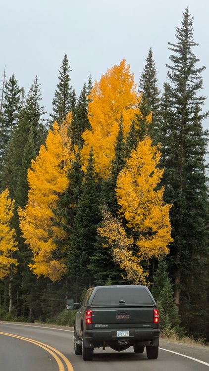 Scenic Autumn Drive Through Vibrant Fall Foliage · Free Stock Photo