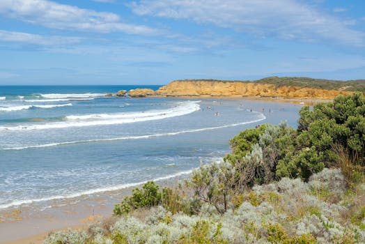 托基春日的阳光温暖而明媚