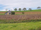 好的，请提供需要我进行语序调整的文本