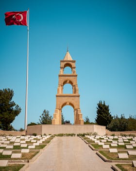 好的，我会按照您的要求对句子进行优化