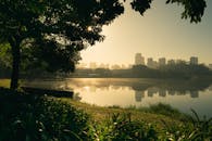 圣保罗的一个湖上，宁静的日出映照着天际线，与郁郁葱葱的绿色植物相映成趣