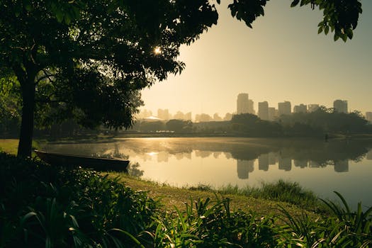 圣保罗的一个湖上，宁静的日出映照着天际线，与郁郁葱葱的绿色植物相映成趣