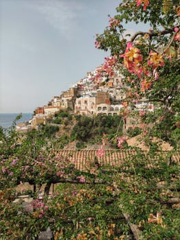 好的，我明白了