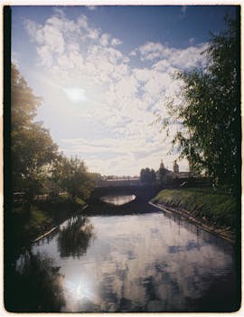 好的，请提供您需要我进行语序调整的文本