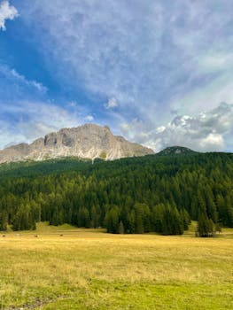 在蓝天下，山上有茂密的森林和开阔的草地
